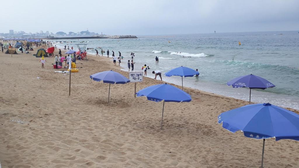 Sunrise Hotel Junior Suite Room11F Sea- View Sokcho Dış mekan fotoğraf